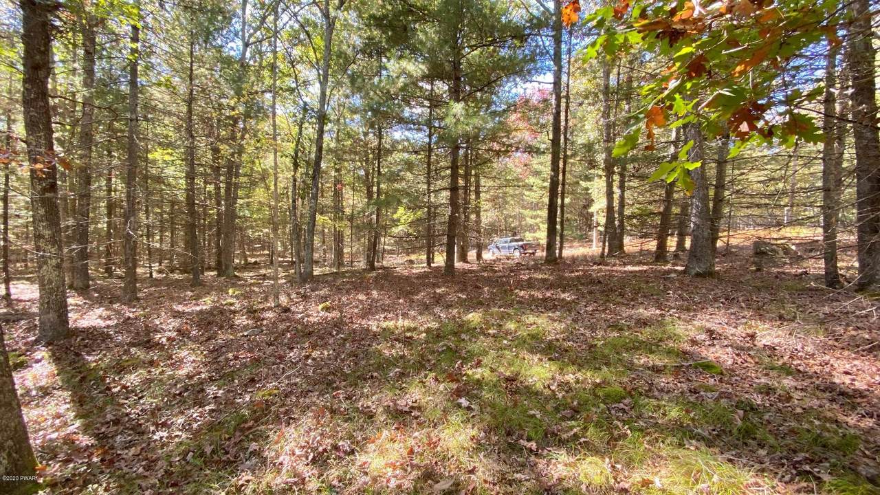 10 Deer Hollow Rd - Photo 1
