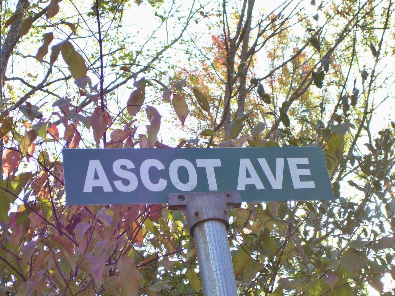 1097-1107 Ascot Ave - Photo 1