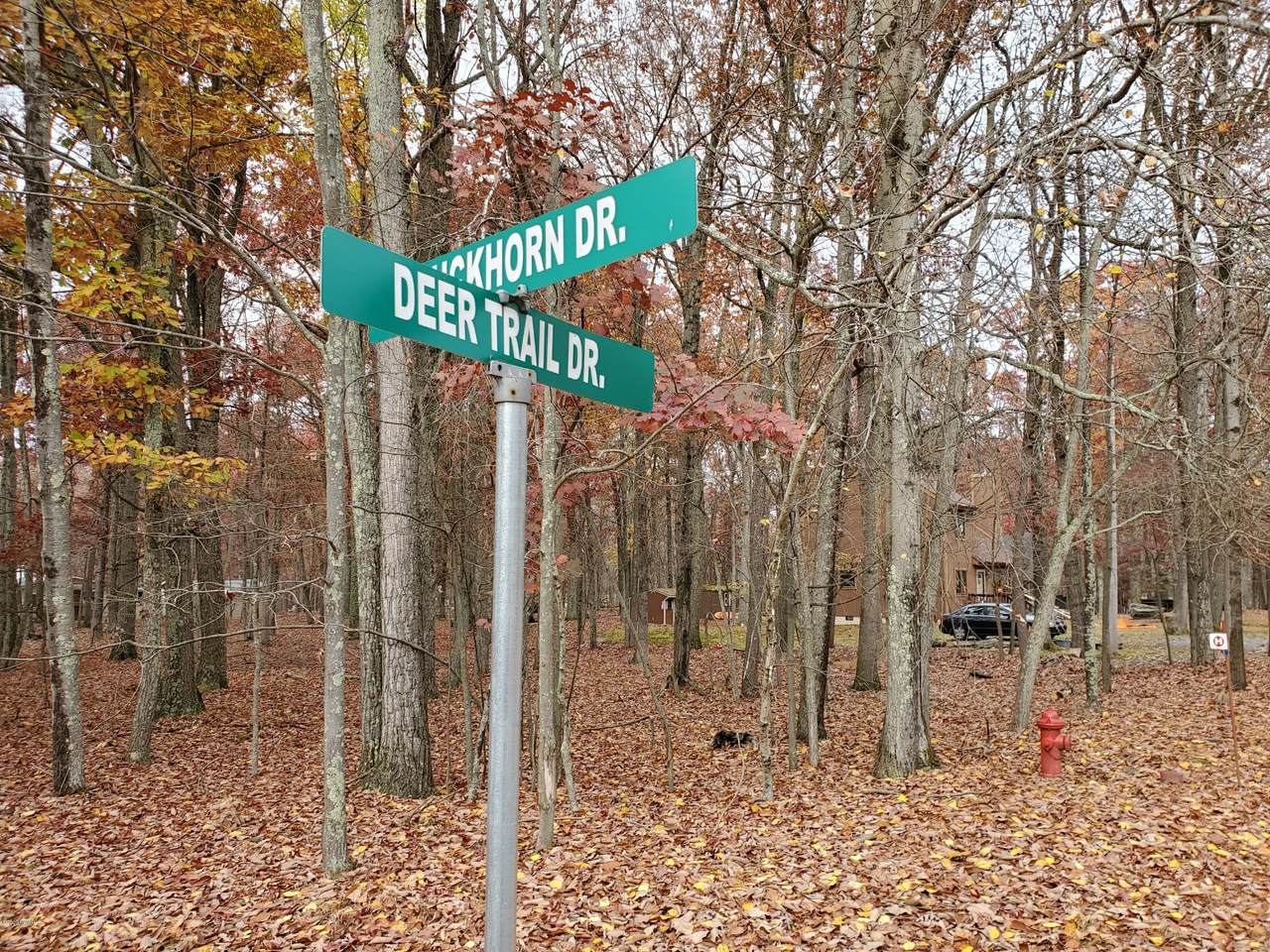 186 Deer Trail Dr - Photo 1