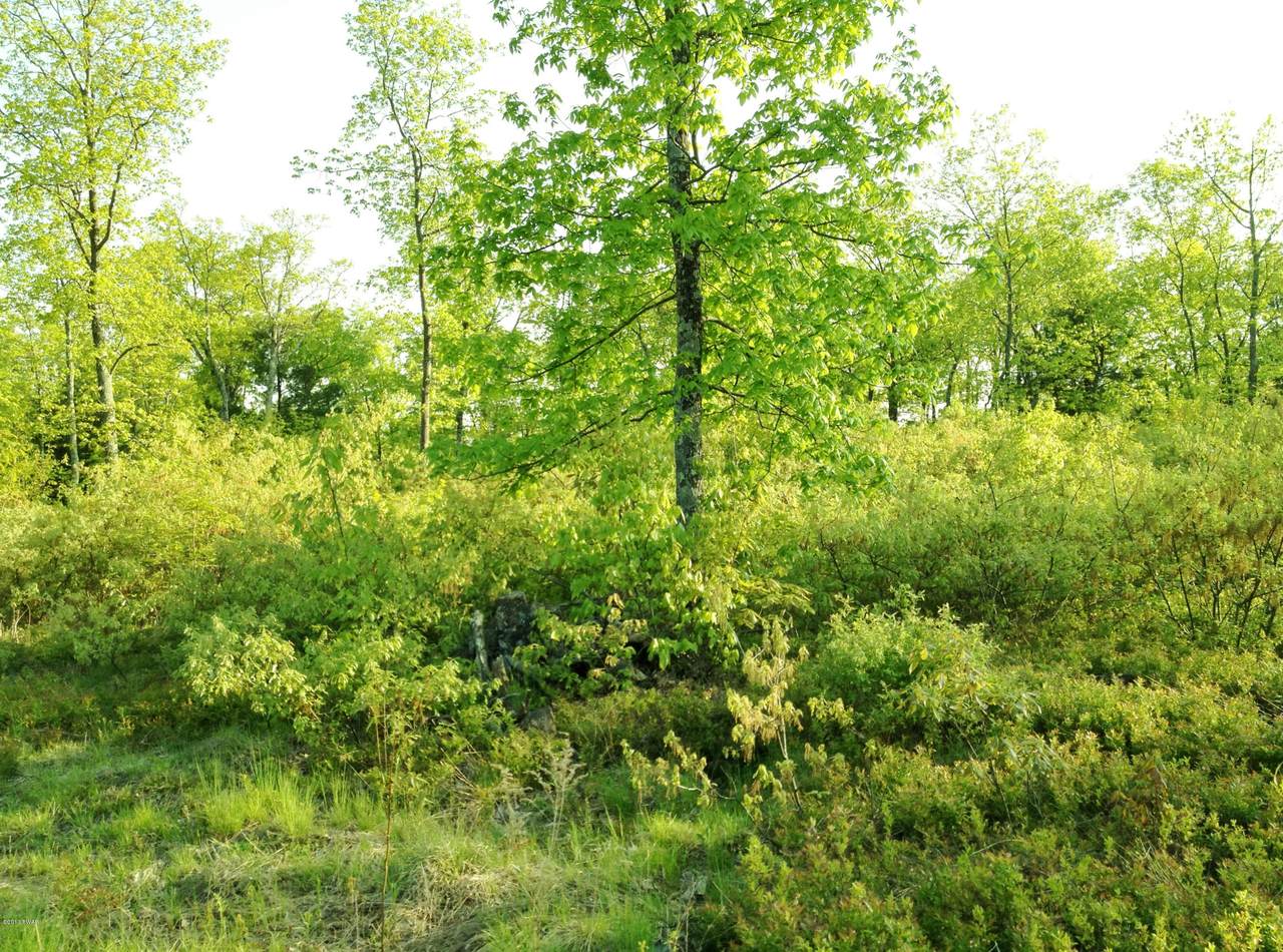 Lot 57 Summit Ct - Photo 1