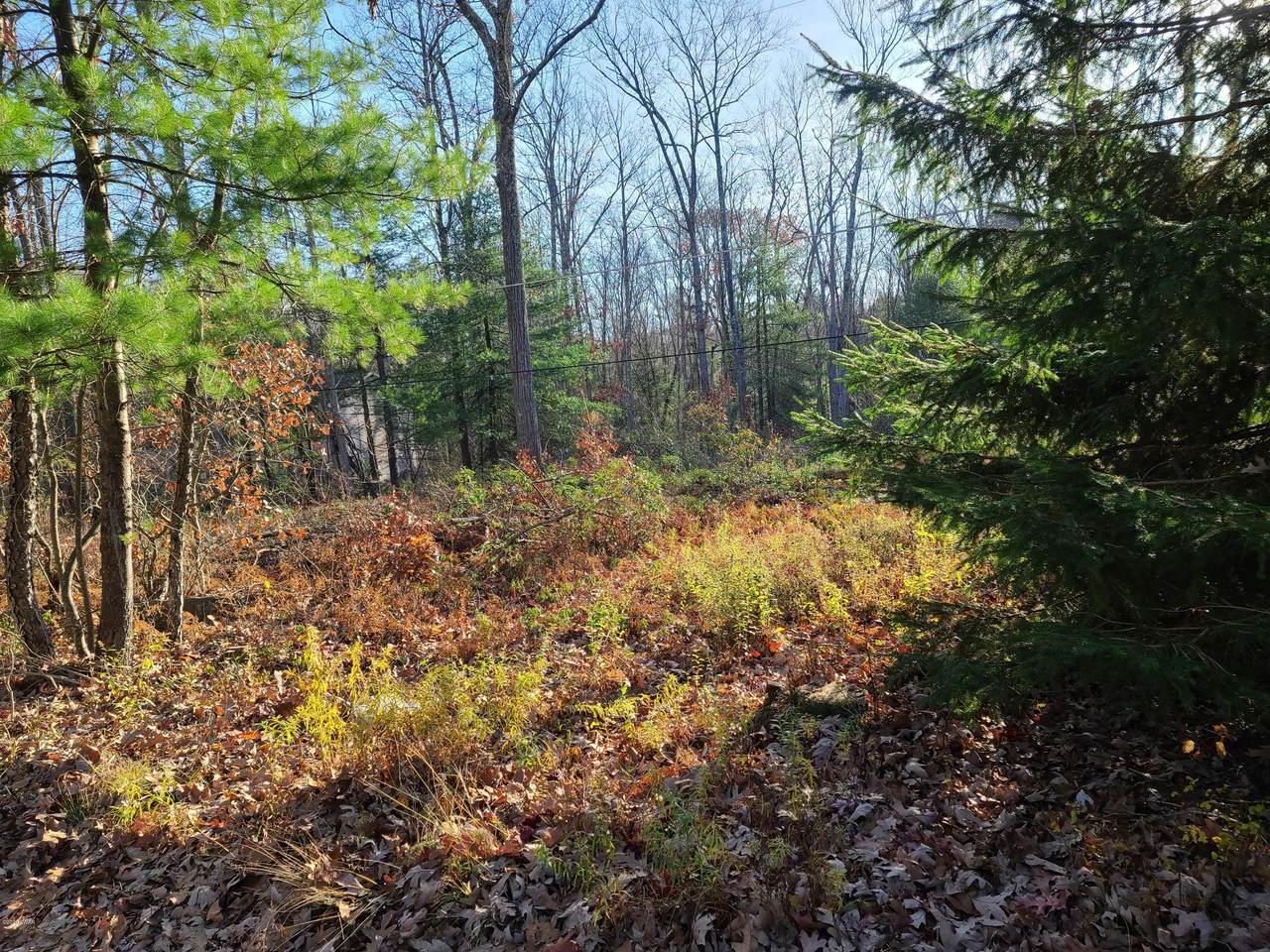 116 Red Shale Rd - Photo 1