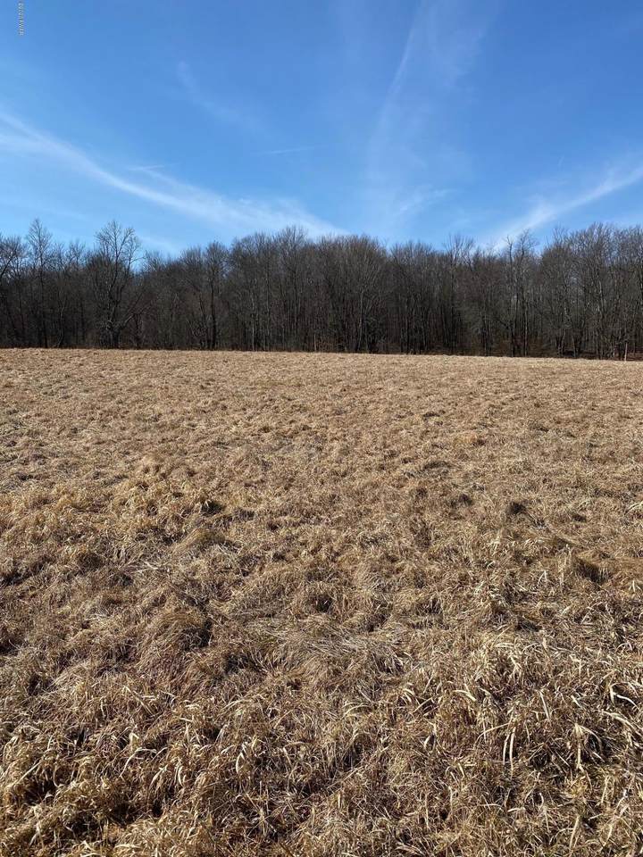 Lot 7 Summit Dr - Photo 1