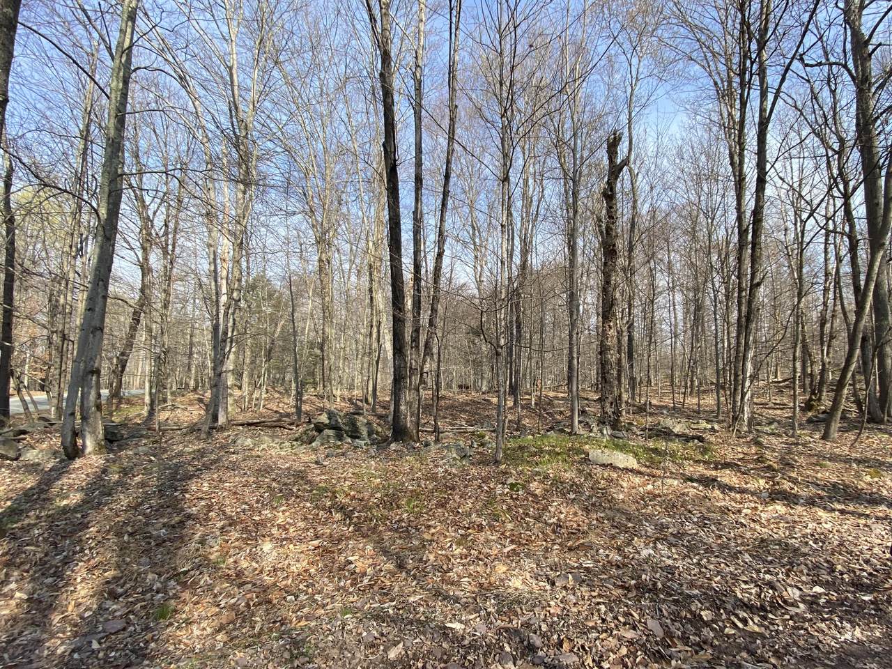 Lot 228 Fawnwood Dr - Photo 1