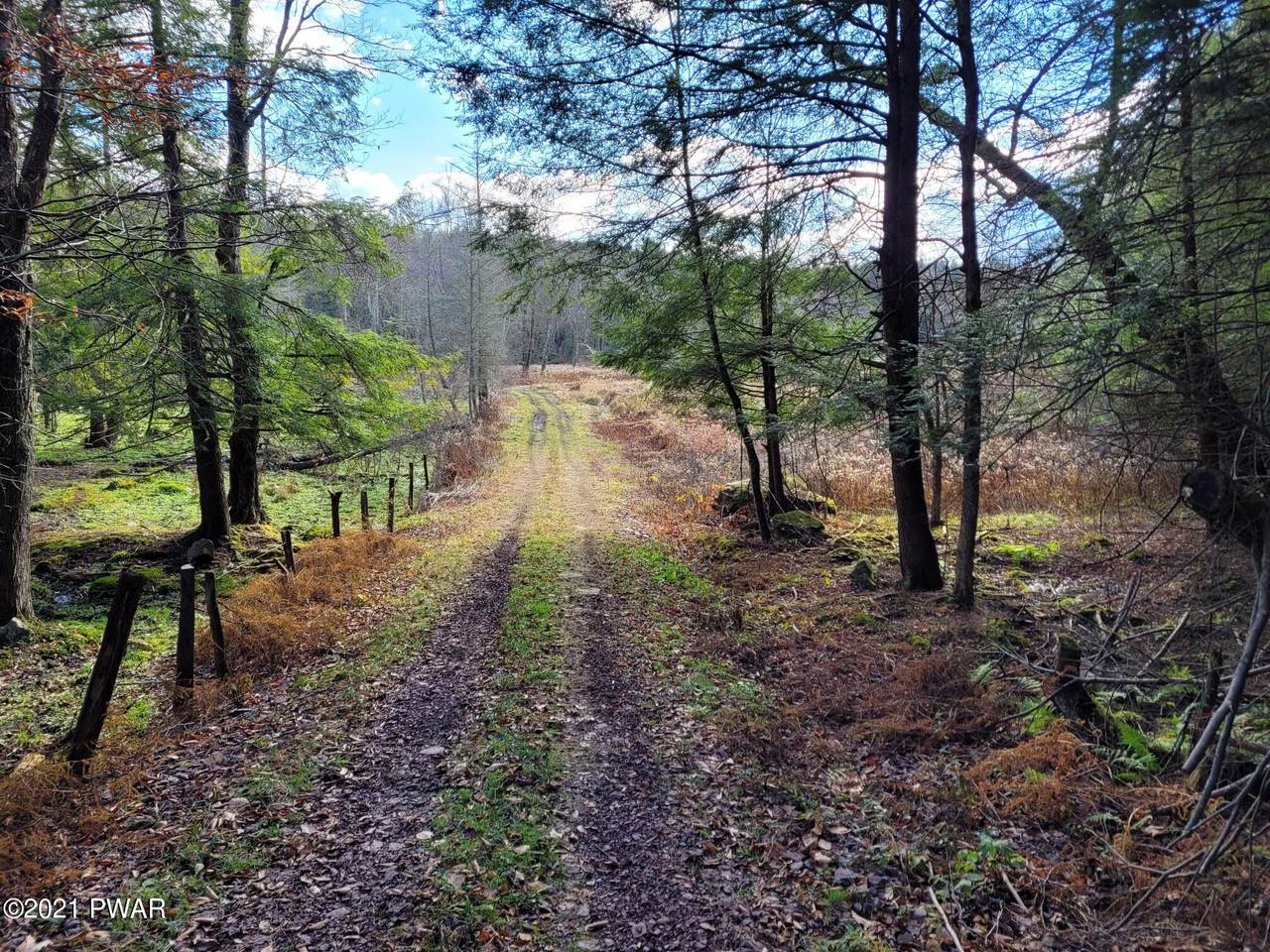 Torrey Rd - Photo 1