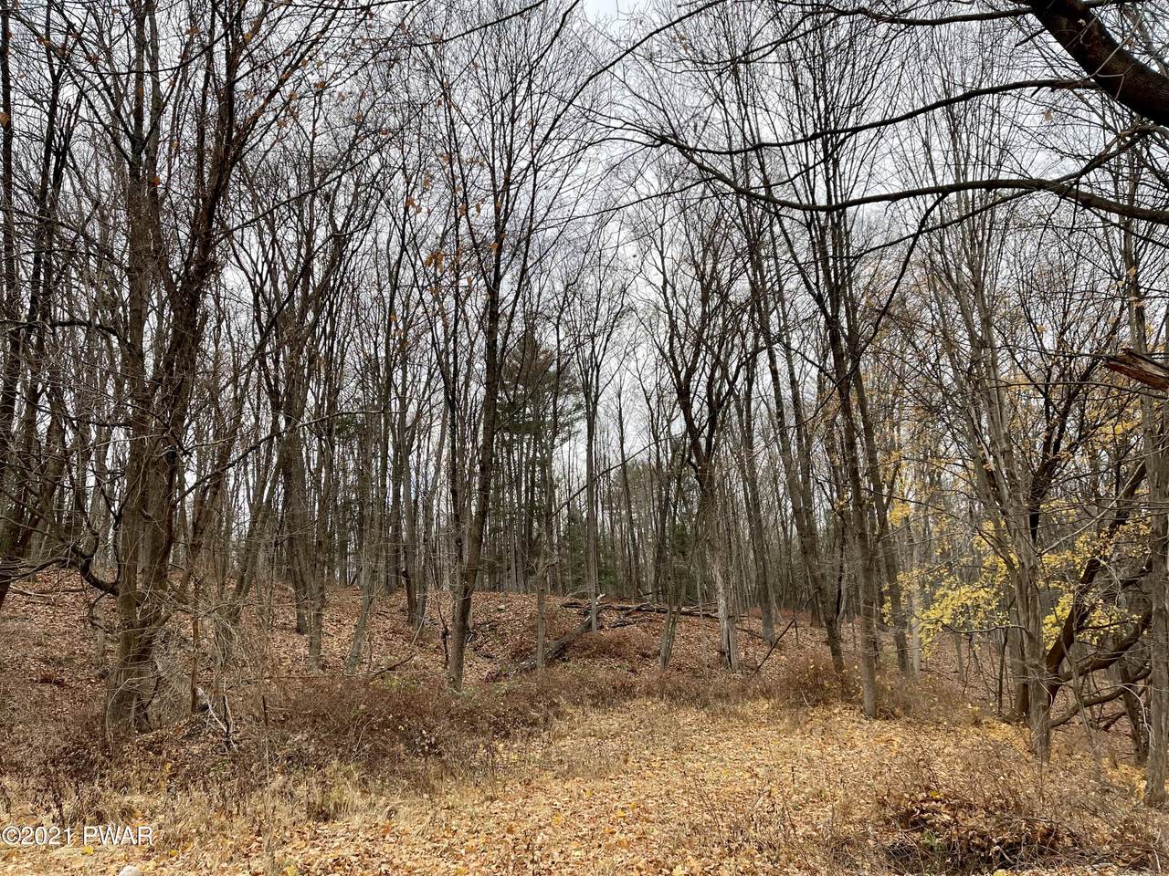 Labarr Ln - Photo 1