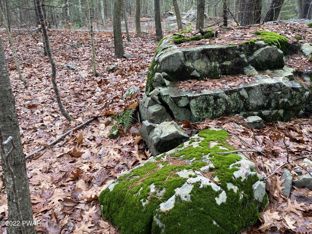 Route 6 - Photo 1