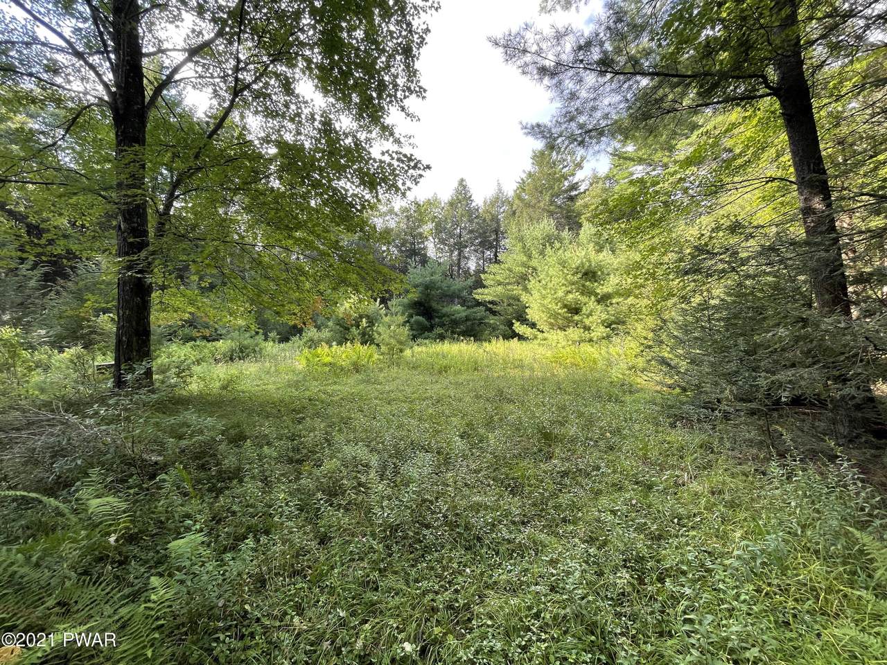 45 Melissa Ln - Photo 1