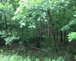 112 Swamp Brook Path - Photo 8