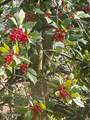 218 Weatherby Street - Photo 30