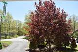 106 Fetlock Drive - Photo 14