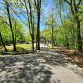 344 Canoebrook Drive - Photo 4