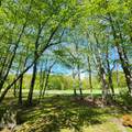 344 Canoebrook Drive - Photo 46