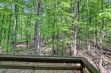 3538 Chestnut Hill Drive - Photo 39