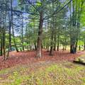 515 Covered Bridge Drive - Photo 39