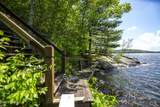 129 Timber Lane - Photo 46