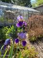 105 Grimms Road - Photo 130