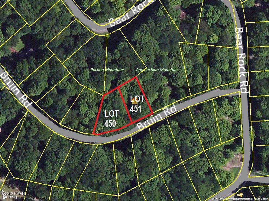 450 & 451 Bruin Rd - Photo 1