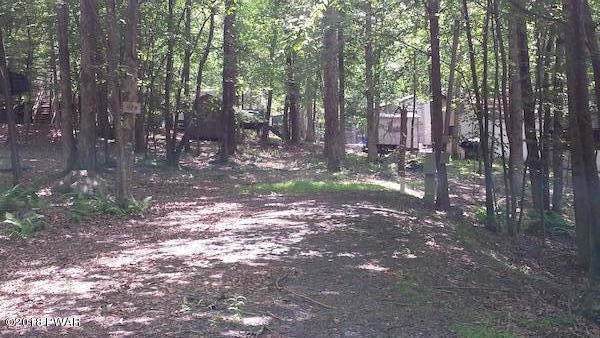 978 Natalie Ln - Photo 1