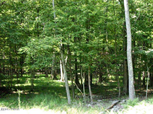 Lot 17 Juniper Way - Photo 1