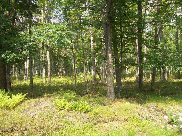 LOT 178A Ridge View Rd - Photo 1