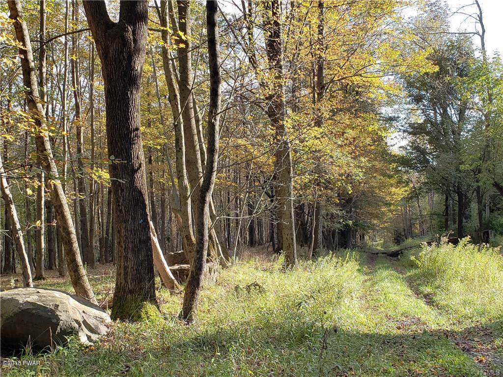 Youngs Hill Rd - Photo 1