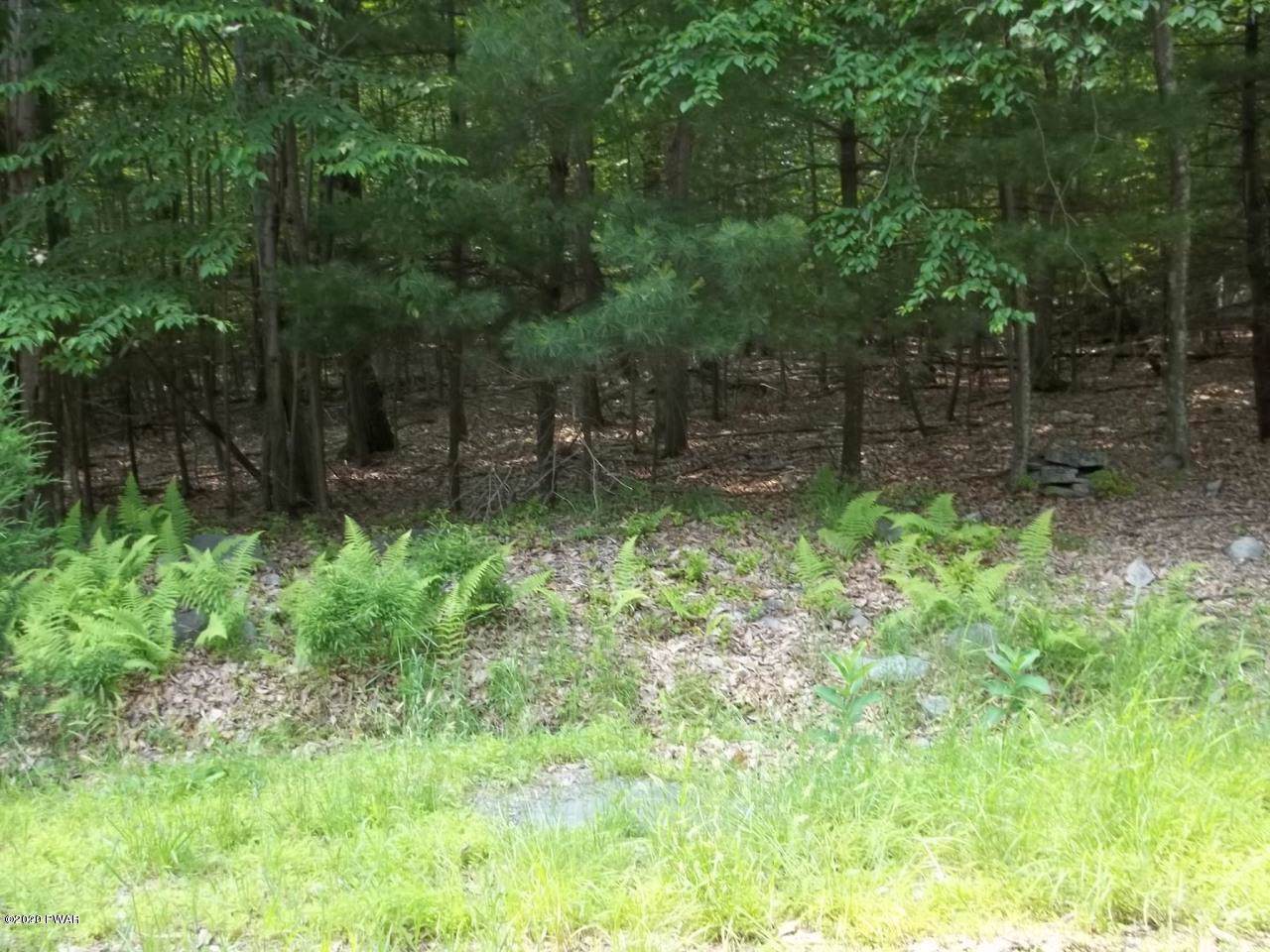 Lot # 4 Park Rd - Photo 1