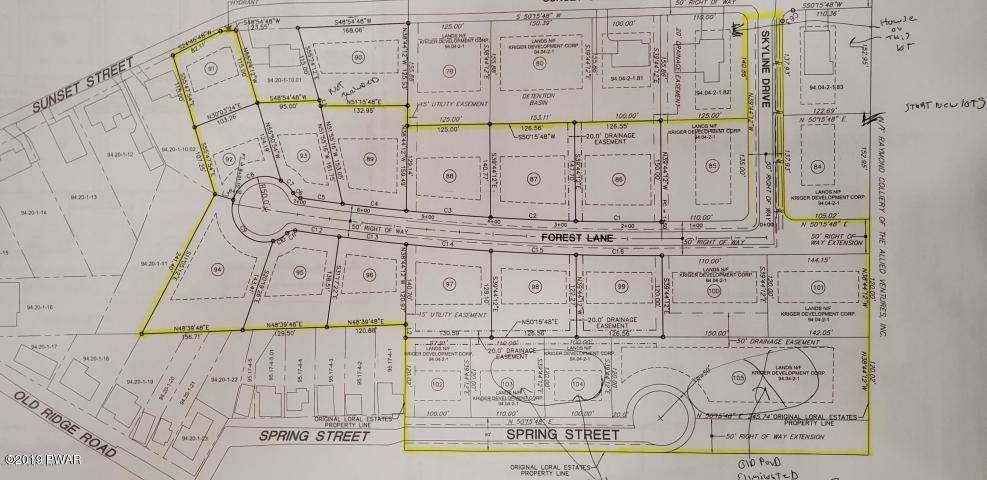 Forest Lane - Photo 1