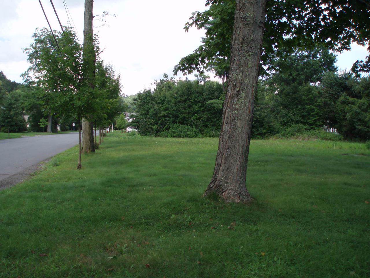LOT 600 High St - Photo 1