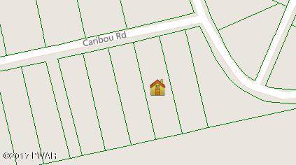 LOT 458 Caribou Rd - Photo 1