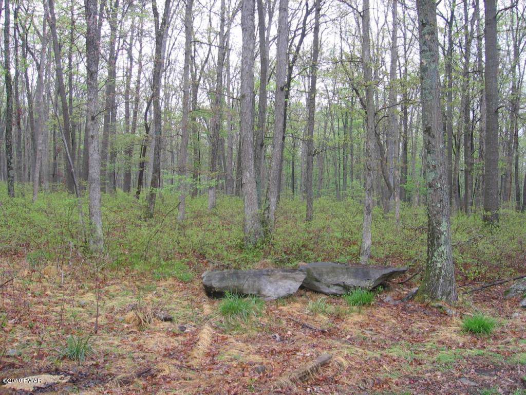 Lot 16 Madison Ct - Photo 1