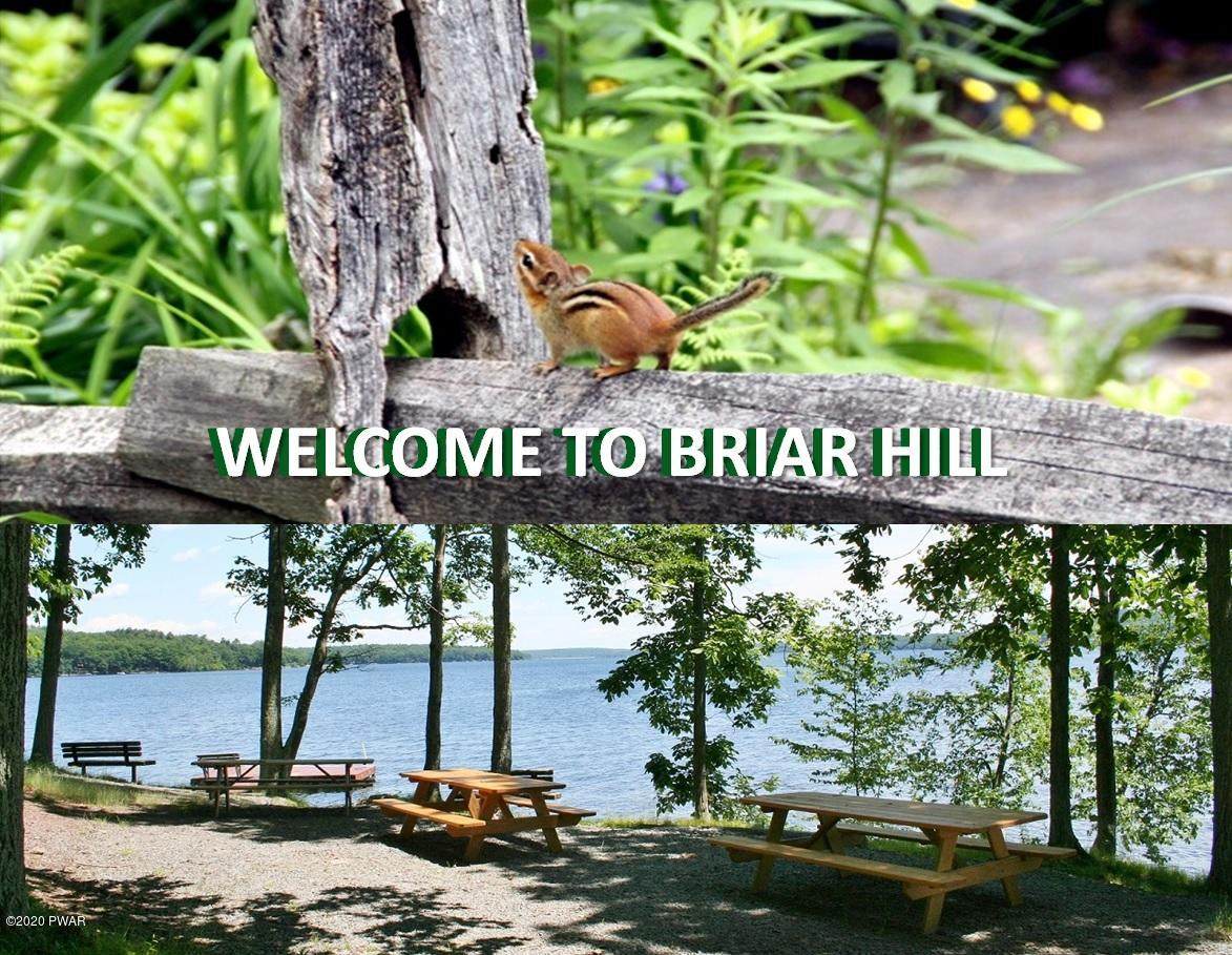 Lot 22 N Briar Hill Dr - Photo 1