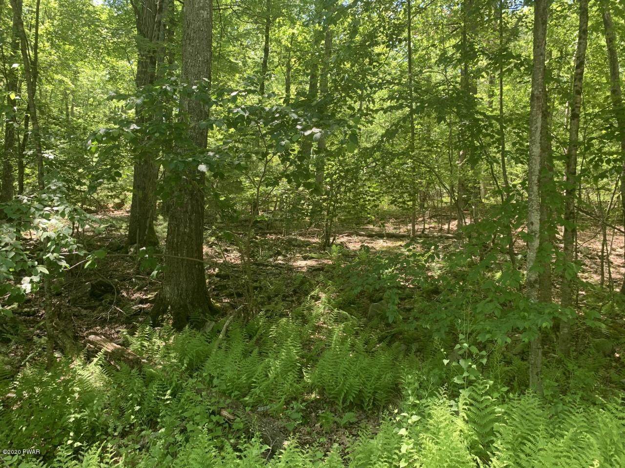 Lot 92 Sec 2 Block 92 - Photo 1