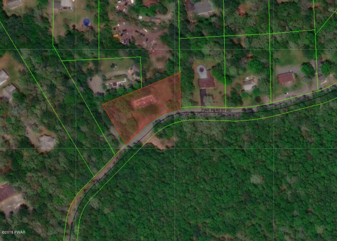 Pine Forest Rd - Photo 1
