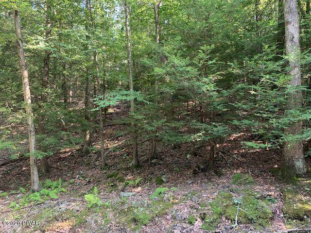 Pine Tree Rd 35 Rd - Photo 1