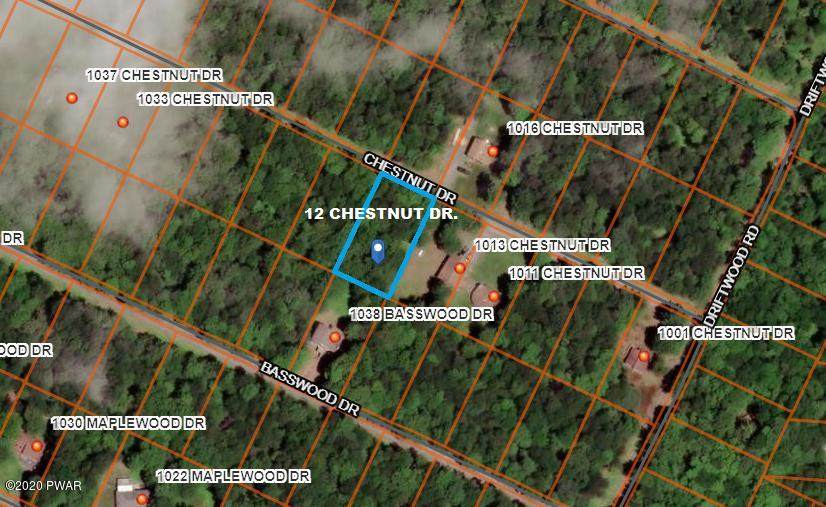 12 Chestnut Dr - Photo 1