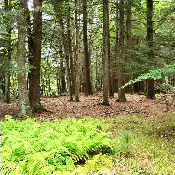 Lot 398 Creek Rd - Photo 1