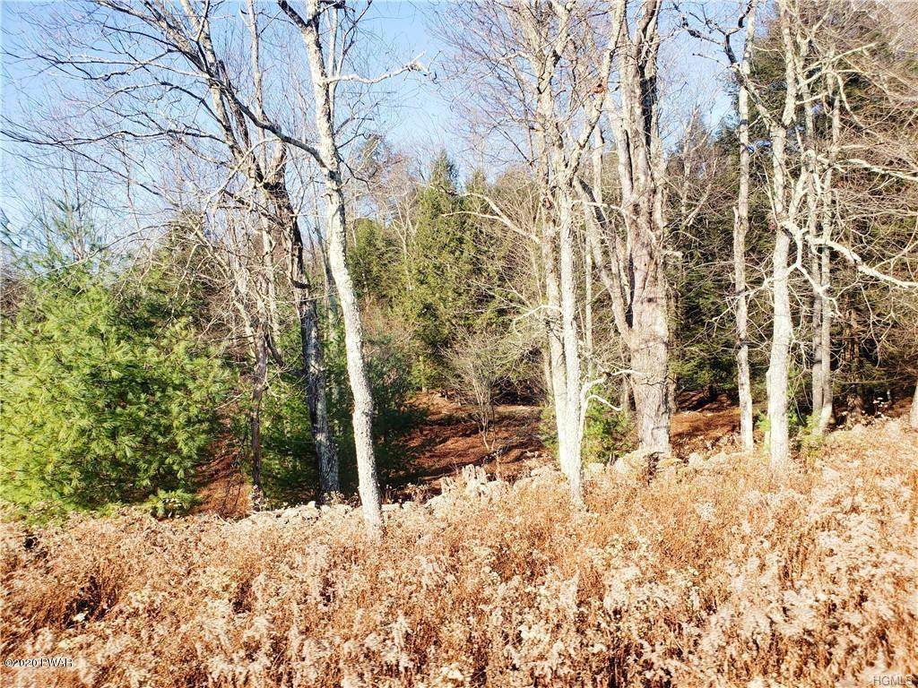Benmosche Rd - Photo 1