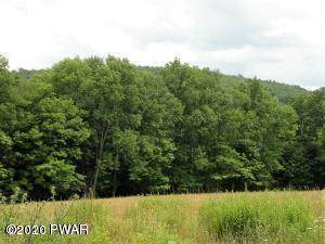 Lot 1 Howe Mtn Rd - Photo 1