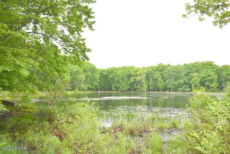 Lot 4 Twin Pond Way - Photo 1