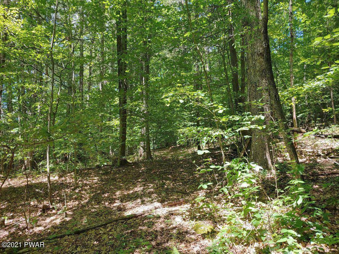 Golf Course Road - Photo 1