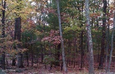 Lot 1083 Crocus Ln - Photo 1
