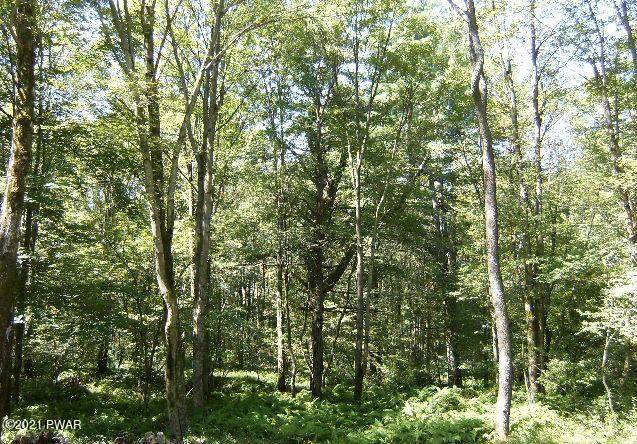 Lot 9 & 10 Lancet Cir - Photo 1