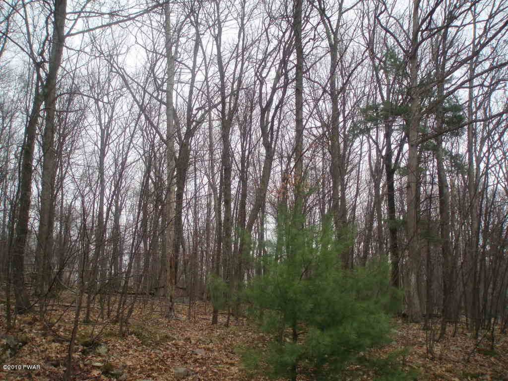 LOT 1167 Crocus Ln - Photo 1