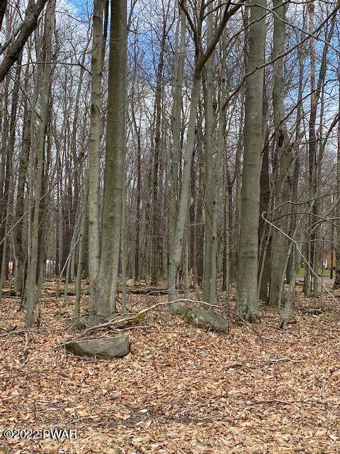 2212 Corner Redwood Run And Oakwood Dr - Photo 1