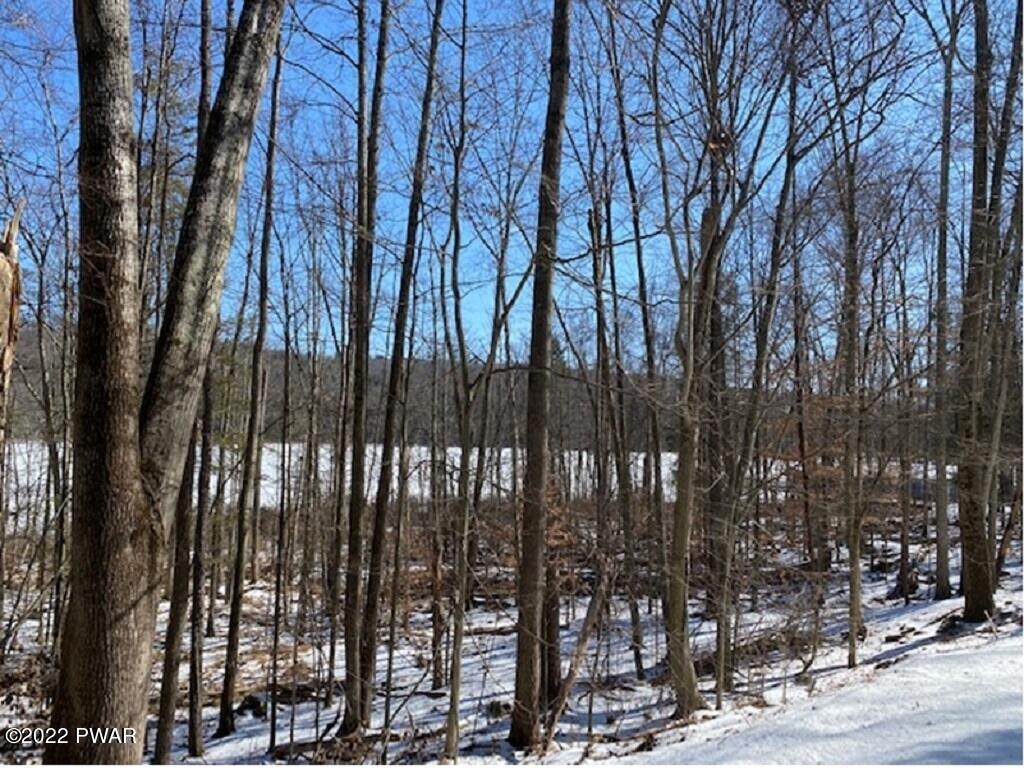 127 Sheridan Rd - Photo 1