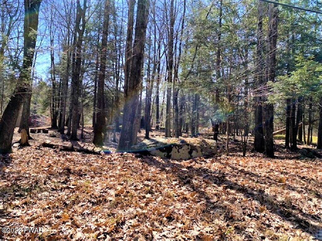 992 Goose Pond Rd - Photo 1