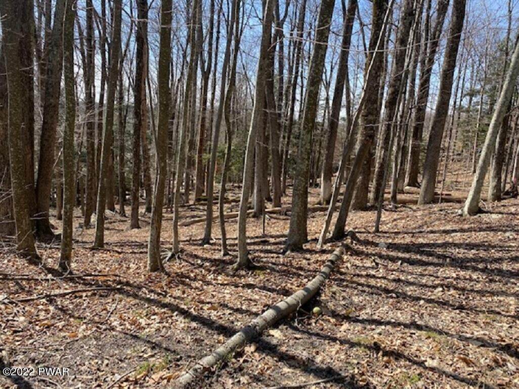 30 Cedar Dr - Photo 1