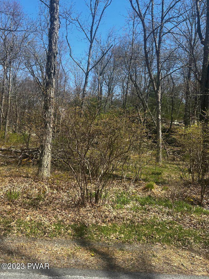 801 Wagon Court - Photo 1