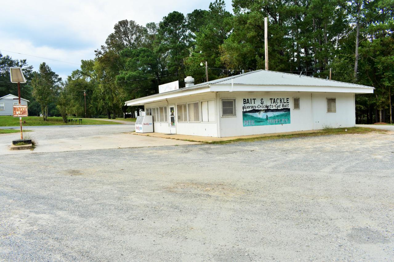 11699 Hwy 74 East - Photo 1