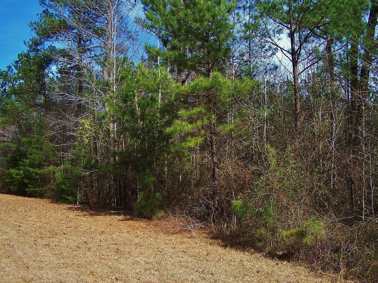 Tbd Blewett Falls Road - Photo 1
